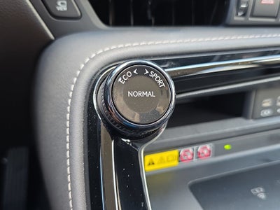 2024 Lexus NX 350h Luxury